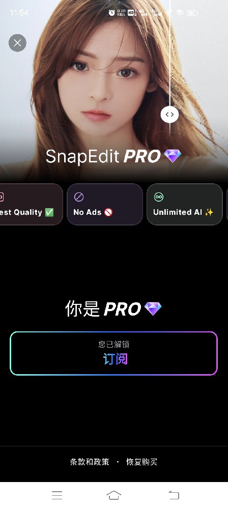 SnapEdit ——AI 影像编辑应用